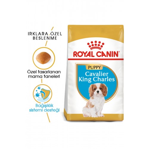 Dog Bhn Cavalier King Yavru Köpek Maması 1,5 Kg Dog Bhn Cavalier King Yavru Köpek Maması 1,5 Kg