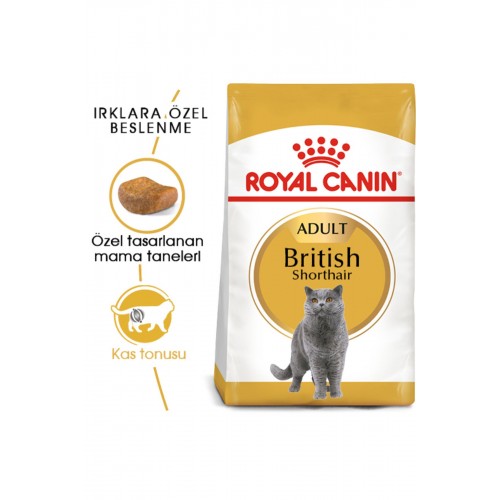 Cat Fbn British Shorthair Kedi Maması 10 Kg Cat Fbn British Shorthair Kedi Maması 10 Kg