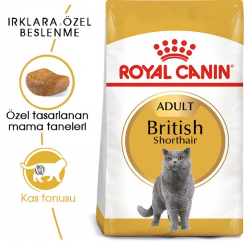 Cat Fbn British Shorthair Kedi Maması 10 Kg