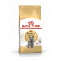 Cat Fbn British Shorthair Kedi Maması 10 Kg Cat Fbn British Shorthair Kedi Maması 10 Kg