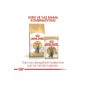 Cat Fbn British Shorthair Kedi Maması 10 Kg Cat Fbn British Shorthair Kedi Maması 10 Kg