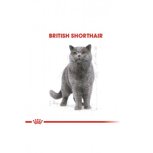 Cat Fbn British Shorthair Kedi Maması 10 Kg Cat Fbn British Shorthair Kedi Maması 10 Kg