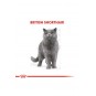 Cat Fbn British Shorthair Kedi Maması 10 Kg Cat Fbn British Shorthair Kedi Maması 10 Kg