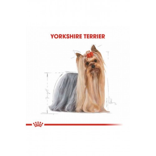 Yorkshire Terrier Adult Yetişkin Köpek Maması 1,5 Kg Yorkshire Terrier Adult Yetişkin Köpek Maması 1,5 Kg