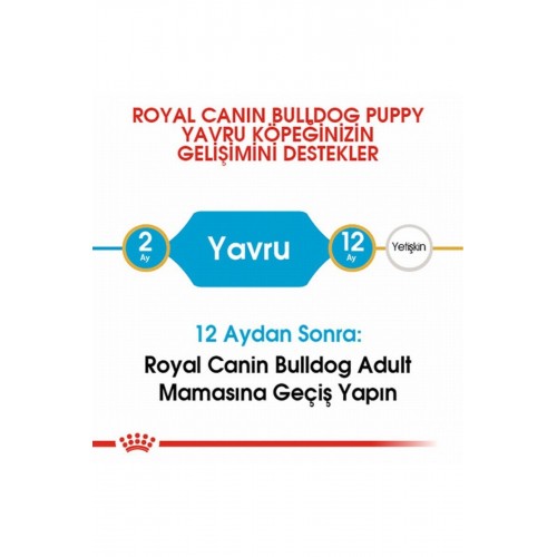 French Bulldog Puppy Yavru Köpek Maması 3 Kg French Bulldog Puppy Yavru Köpek Maması 3 Kg