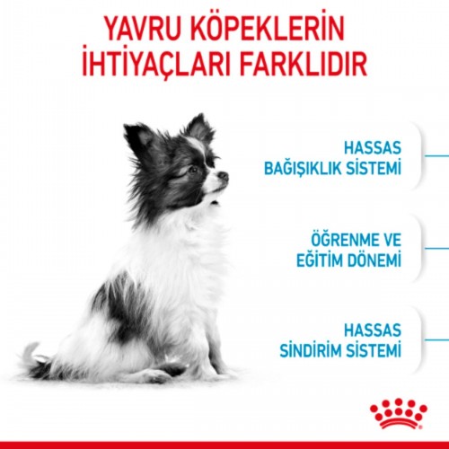 X Small Puppy Küçük Irk Yavru Köpek Maması 1,5 Kg