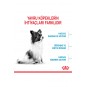 X Small Puppy Küçük Irk Yavru Köpek Maması 1,5 Kg X Small Puppy Küçük Irk Yavru Köpek Maması 1,5 Kg