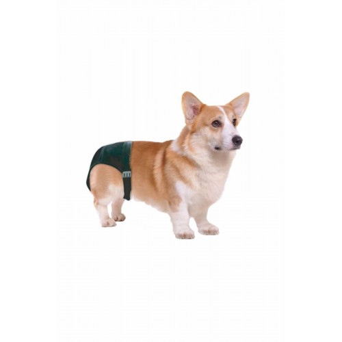 Sanitary Pants-Köpek Külodu No:2 Sanitary Pants-Köpek Külodu No:2