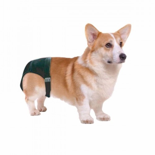 Sanitary Pants-Köpek Külodu No:2