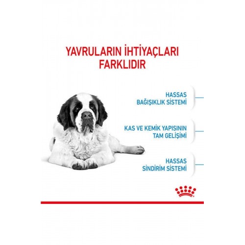 Dog Shn Giant Junior Köpek Maması15 Kg Dog Shn Giant Junior Köpek Maması15 Kg