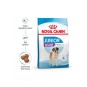 Dog Shn Giant Junior Köpek Maması15 Kg Dog Shn Giant Junior Köpek Maması15 Kg