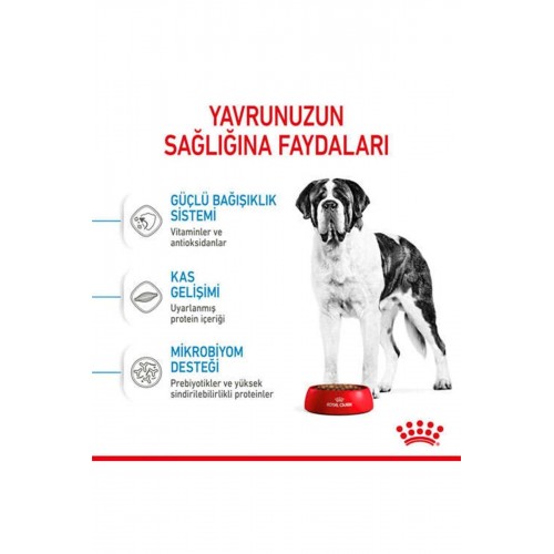 Dog Shn Giant Junior Köpek Maması15 Kg Dog Shn Giant Junior Köpek Maması15 Kg