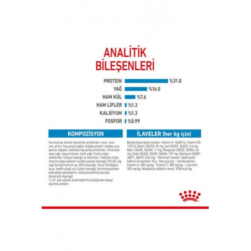 Dog Shn Giant Junior Köpek Maması15 Kg Dog Shn Giant Junior Köpek Maması15 Kg