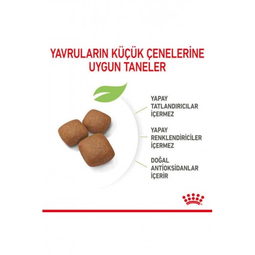 Dog Shn Giant Junior Köpek Maması15 Kg Dog Shn Giant Junior Köpek Maması15 Kg