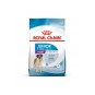 Dog Shn Giant Junior Köpek Maması15 Kg Dog Shn Giant Junior Köpek Maması15 Kg