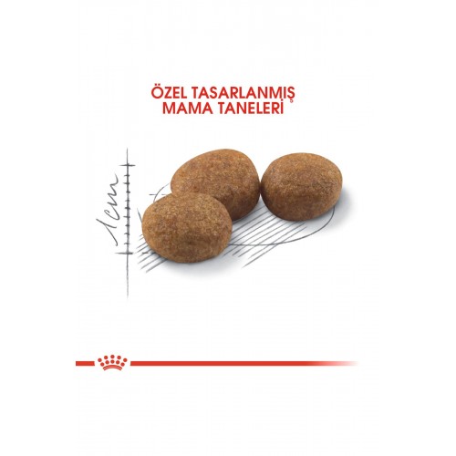 Sterilised Kısırlaştırılmış Kedi Maması 400 gr Sterilised Kısırlaştırılmış Kedi Maması 400 gr
