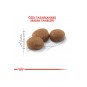 Sterilised Kısırlaştırılmış Kedi Maması 400 gr Sterilised Kısırlaştırılmış Kedi Maması 400 gr