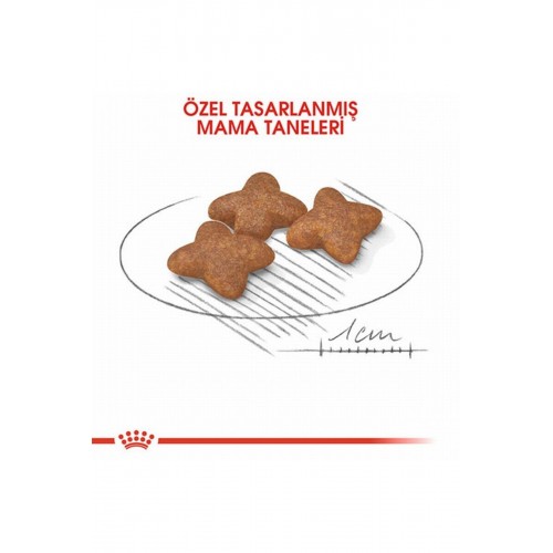 Mini Adult Küçük Irk Yetişkin Köpek Maması 8 Kg Mini Adult Küçük Irk Yetişkin Köpek Maması 8 Kg