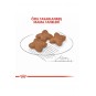 Mini Adult Küçük Irk Yetişkin Köpek Maması 8 Kg Mini Adult Küçük Irk Yetişkin Köpek Maması 8 Kg