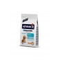 Puppy Medium Tavuklu Orta Irk Yavru Köpek Maması 3 Kg Puppy Medium Tavuklu Orta Irk Yavru Köpek Maması 3 Kg