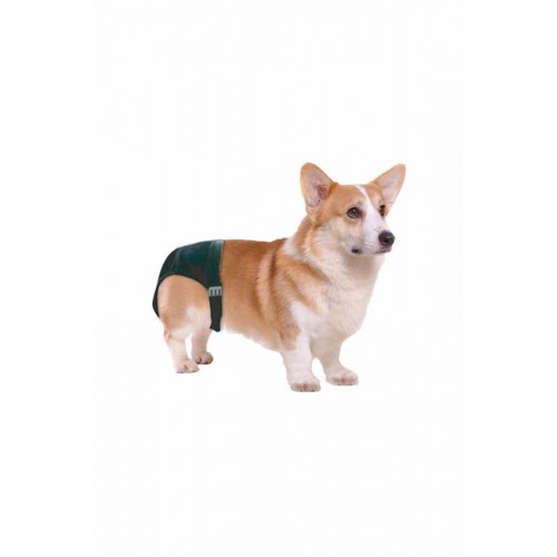 Köpek Külotu Xsmall No:0 Köpek Külotu Xsmall No:0