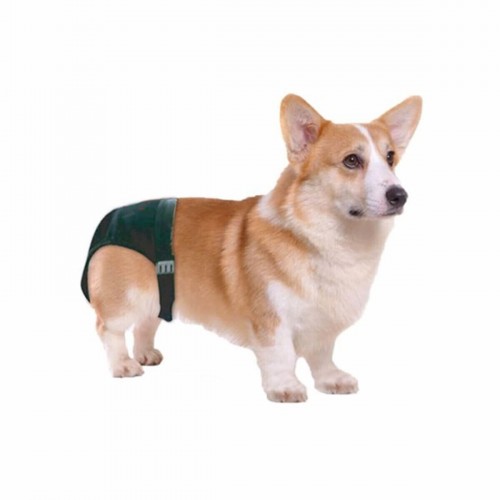 Köpek Külotu Xsmall No:0