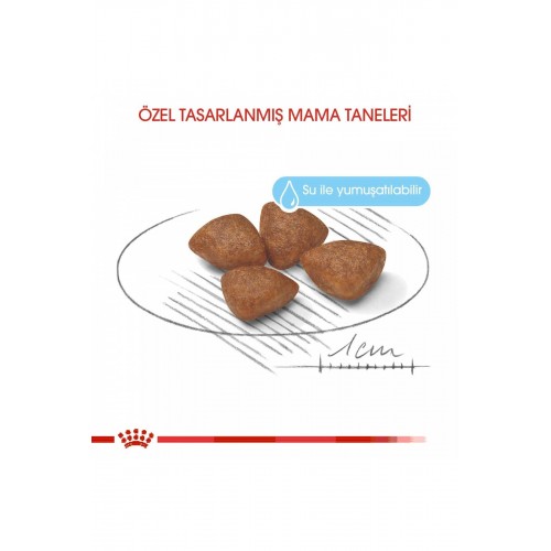 Dog Mini Starter Mother/babydog Köpek Maması 3 Kg Dog Mini Starter Mother/babydog Köpek Maması 3 Kg