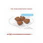 Dog Mini Starter Mother/babydog Köpek Maması 3 Kg Dog Mini Starter Mother/babydog Köpek Maması 3 Kg
