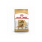 Golden Retriever Adult Yetişkin Köpek Maması 12 Kg Golden Retriever Adult Yetişkin Köpek Maması 12 Kg