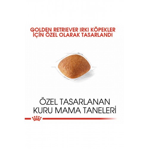 Golden Retriever Adult Yetişkin Köpek Maması 12 Kg Golden Retriever Adult Yetişkin Köpek Maması 12 Kg