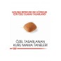 Golden Retriever Adult Yetişkin Köpek Maması 12 Kg Golden Retriever Adult Yetişkin Köpek Maması 12 Kg