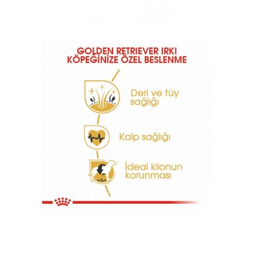 Golden Retriever Adult Yetişkin Köpek Maması 12 Kg Golden Retriever Adult Yetişkin Köpek Maması 12 Kg