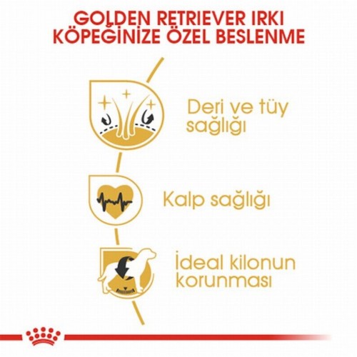 Golden Retriever Adult Yetişkin Köpek Maması 12 Kg