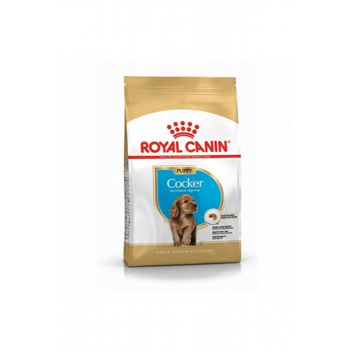 Cocker Spaniel Puppy Yavru Köpek Maması 3 Kg Cocker Spaniel Puppy Yavru Köpek Maması 3 Kg