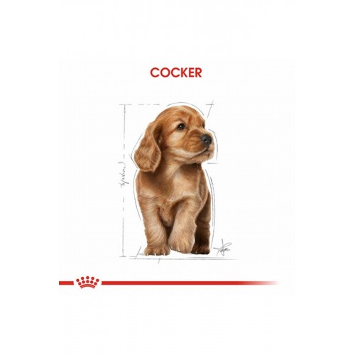Cocker Spaniel Puppy Yavru Köpek Maması 3 Kg Cocker Spaniel Puppy Yavru Köpek Maması 3 Kg