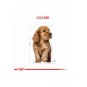 Cocker Spaniel Puppy Yavru Köpek Maması 3 Kg Cocker Spaniel Puppy Yavru Köpek Maması 3 Kg