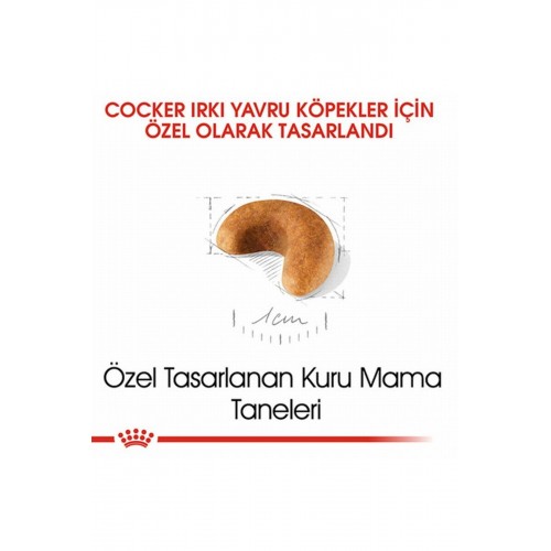 Cocker Spaniel Puppy Yavru Köpek Maması 3 Kg Cocker Spaniel Puppy Yavru Köpek Maması 3 Kg