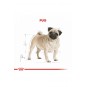 Pug Adult Yetişkin Köpek Maması 1,5 Kg Pug Adult Yetişkin Köpek Maması 1,5 Kg