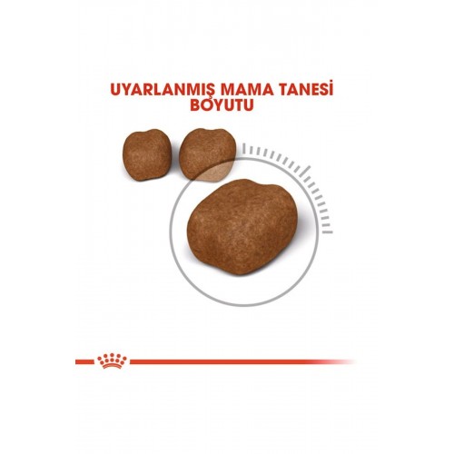 Oral Care Ağız Diş Sağlığı Için Yetişkin Kedi Maması 1,5 Kg Oral Care Ağız Diş Sağlığı Için Yetişkin Kedi Maması 1,5 Kg