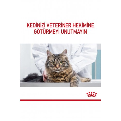 Oral Care Ağız Diş Sağlığı Için Yetişkin Kedi Maması 1,5 Kg Oral Care Ağız Diş Sağlığı Için Yetişkin Kedi Maması 1,5 Kg