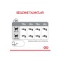 Oral Care Ağız Diş Sağlığı Için Yetişkin Kedi Maması 1,5 Kg Oral Care Ağız Diş Sağlığı Için Yetişkin Kedi Maması 1,5 Kg