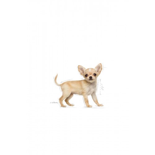 Puppy Chihuahua Yavru Köpek Maması 1,5kg Puppy Chihuahua Yavru Köpek Maması 1,5kg