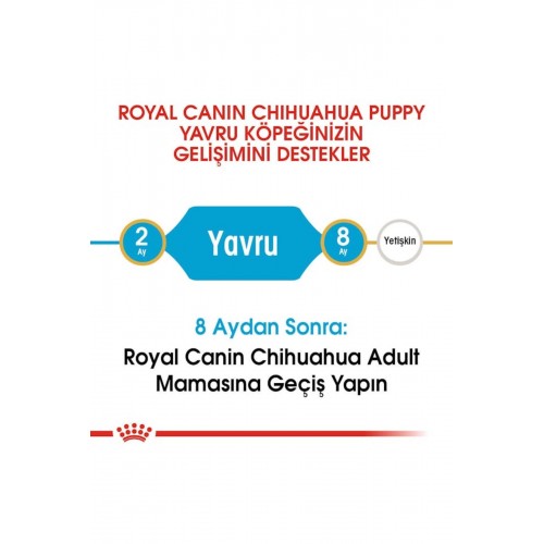 Puppy Chihuahua Yavru Köpek Maması 1,5kg Puppy Chihuahua Yavru Köpek Maması 1,5kg
