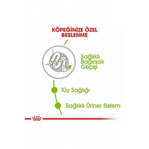 X Small Adult Küçük Irk Yetişkin Köpek Maması 1,5 Kg X Small Adult Küçük Irk Yetişkin Köpek Maması 1,5 Kg