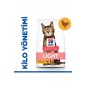 Feline Light Yetişkin Kuru Kedi Maması 1,5 Kg Feline Light Yetişkin Kuru Kedi Maması 1,5 Kg
