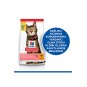 Feline Light Yetişkin Kuru Kedi Maması 1,5 Kg Feline Light Yetişkin Kuru Kedi Maması 1,5 Kg