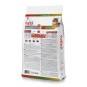Tavuklu ve Pirinçli Renkli Taneli Yetişkin Kedi Maması 2 kg Tavuklu ve Pirinçli Renkli Taneli Yetişkin Kedi Maması 2 kg