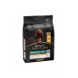 Pro Plan Tavuklu Küçük Irk Köpek Maması 3 Kg Pro Plan Tavuklu Küçük Irk Köpek Maması 3 Kg