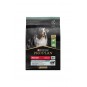 Medium Adult Sensitive Digestion Kuzulu Orta Irk Yetişkin Köpek Maması 3 Kg Medium Adult Sensitive Digestion Kuzulu Orta Irk Yetişkin Köpek Maması 3 Kg