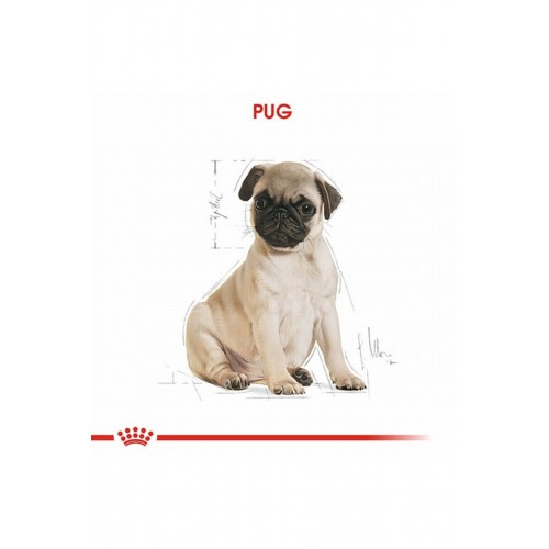 Pug Puppy Yavru Köpek Maması 1,5 Kg Pug Puppy Yavru Köpek Maması 1,5 Kg